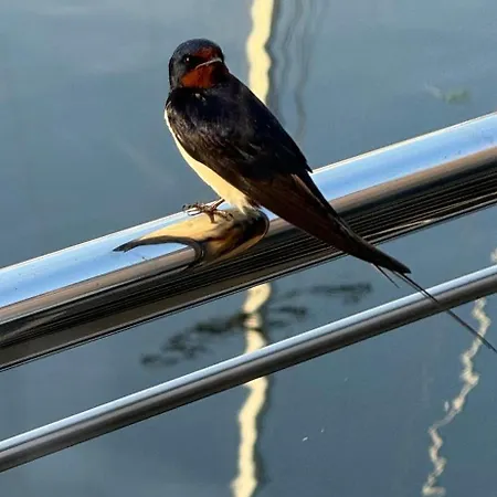 Lille Fjord Hus Dom wakacyjny Szlezwik